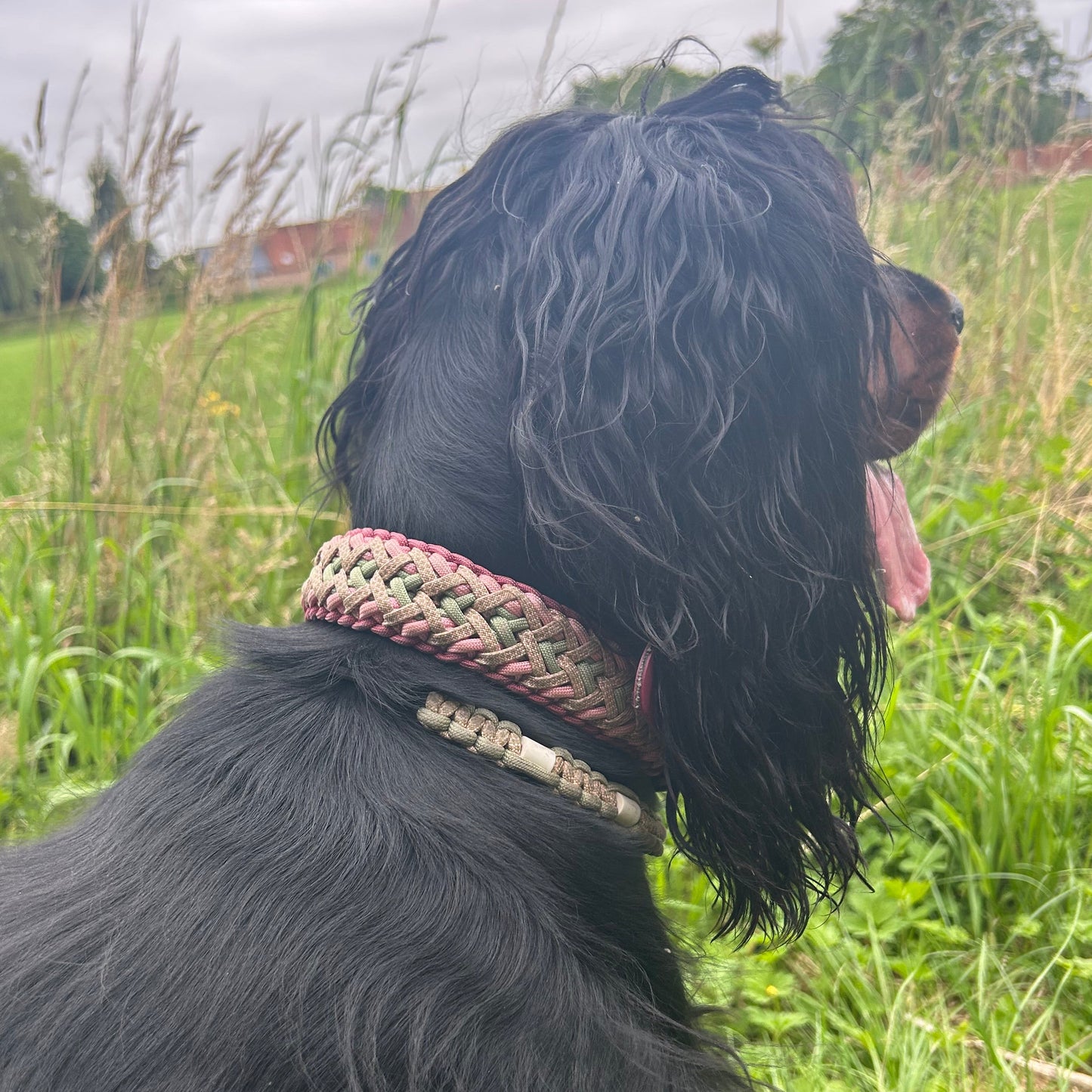 Collier Alyzé Bordeaux 🦋