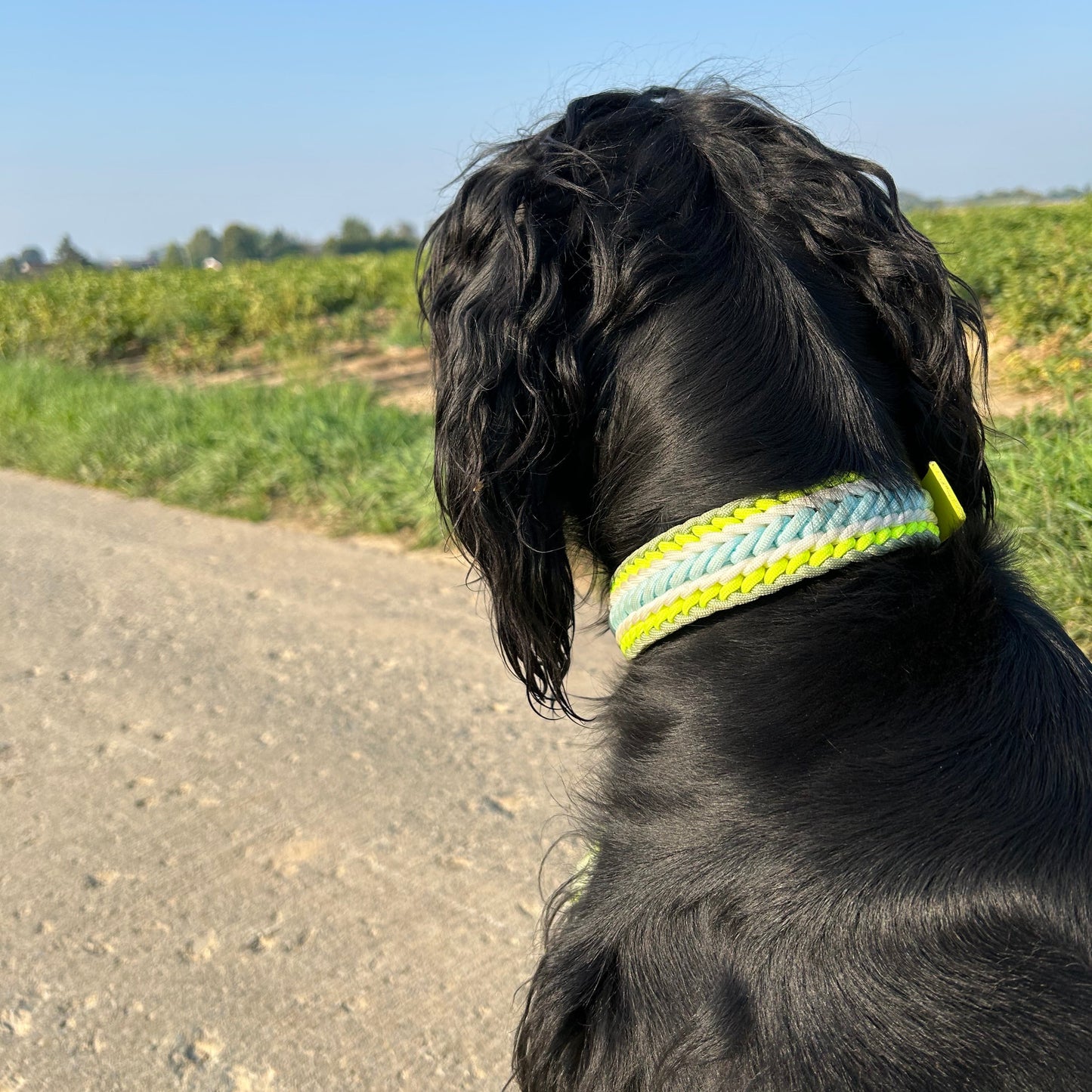 Collier Zéphyr 🌪️ - Vintage ⏱️🔙