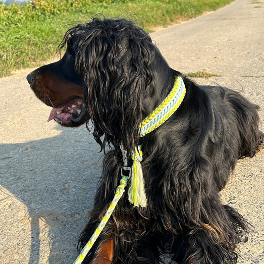 Collier Zéphyr 🌪️ - Vintage ⏱️🔙