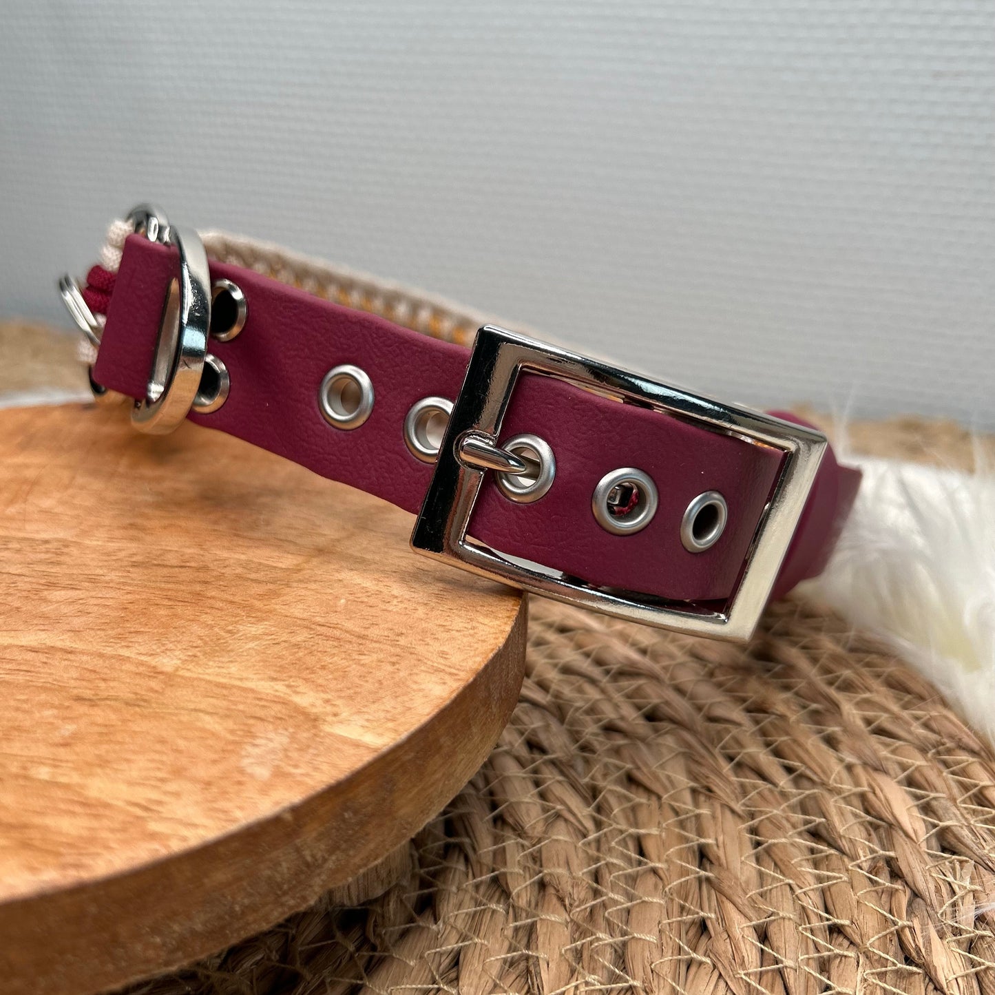 Collier Elytor 🪽 - Automne 2025 🍁🦊