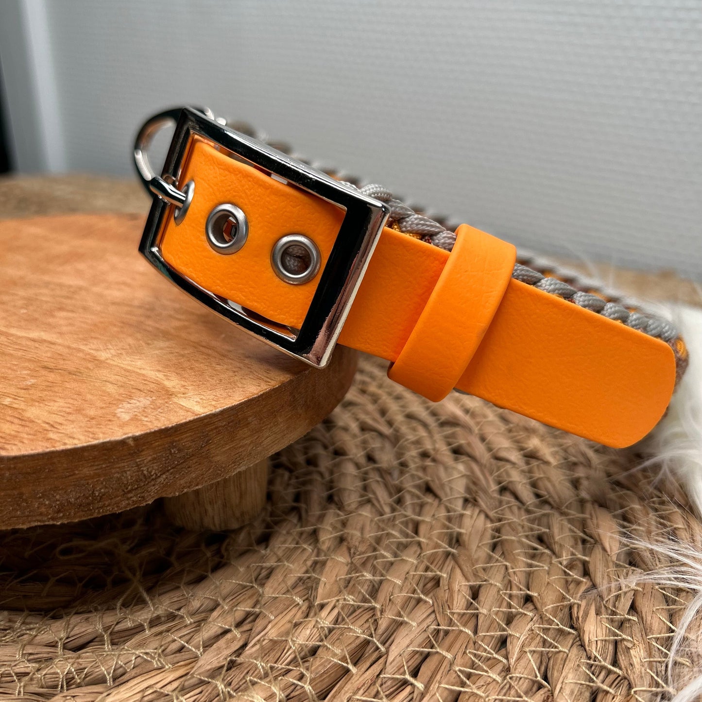 Collier Alyzé 🦋 - Automne 2025 🍁🦊