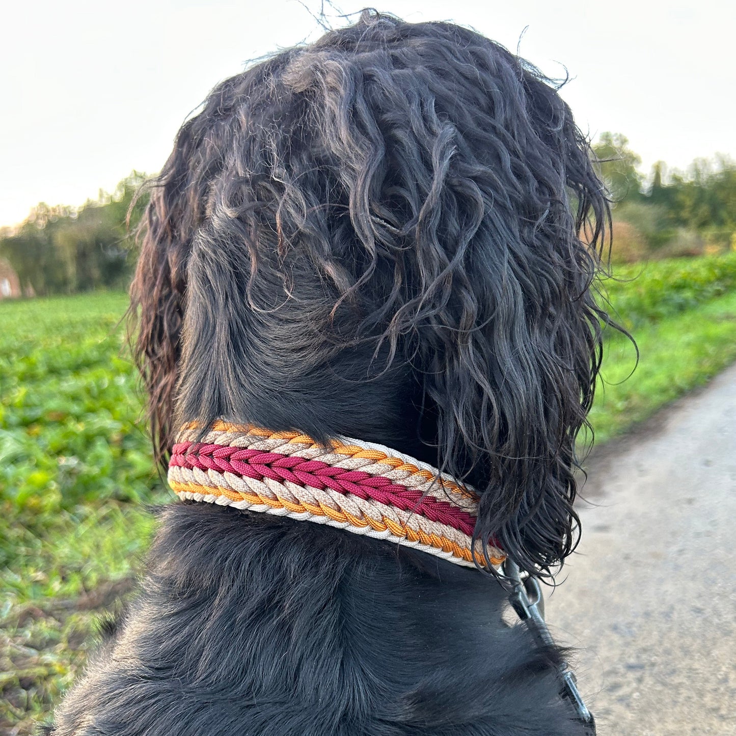 Collier Elytor 🪽 - Automne 2025 🍁🦊