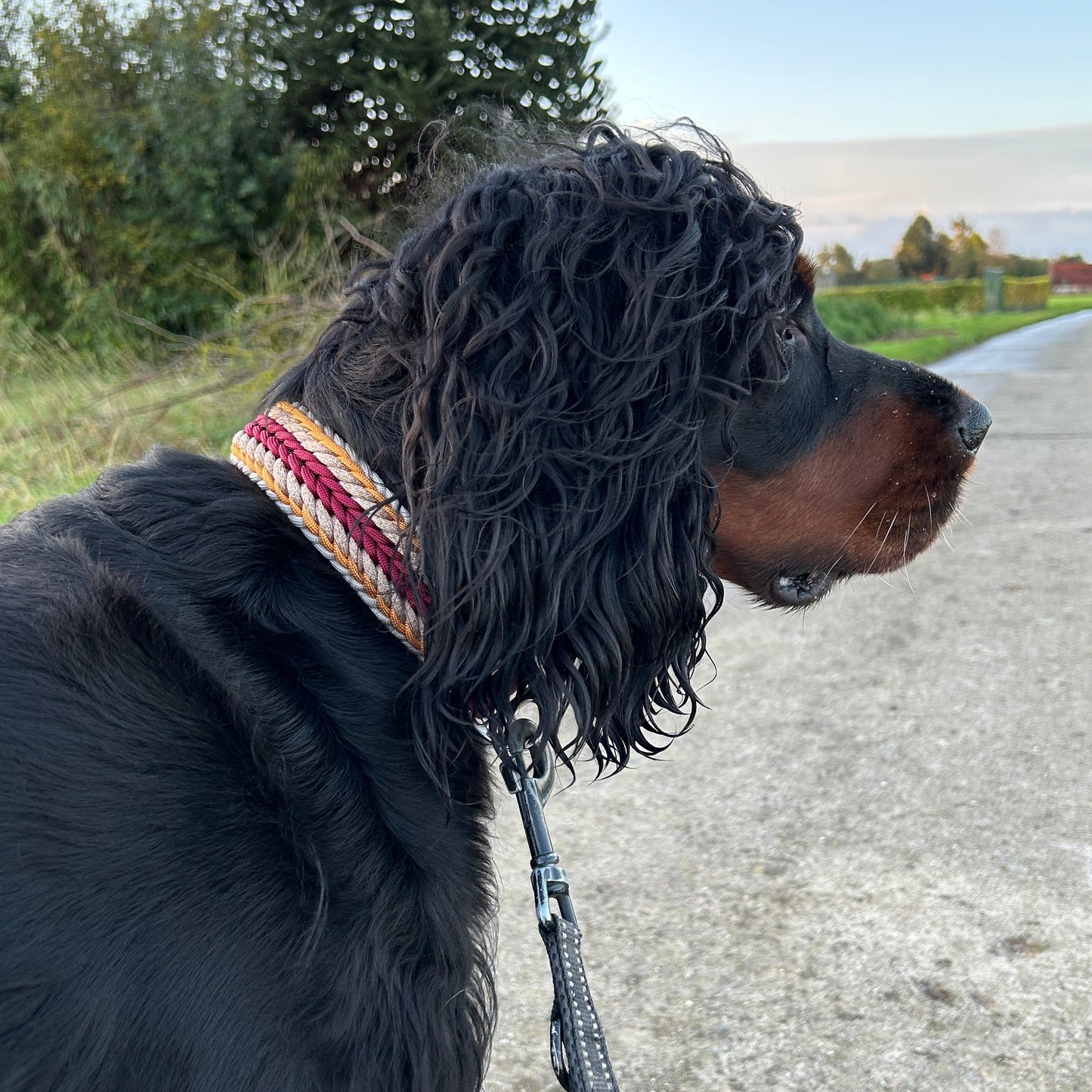 Collier Elytor 🪽 - Automne 2025 🍁🦊