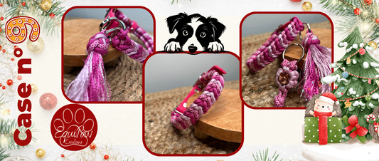 Case n°9 • 9 Décembre 🐾 • Noël est dans 16 jours 🎄