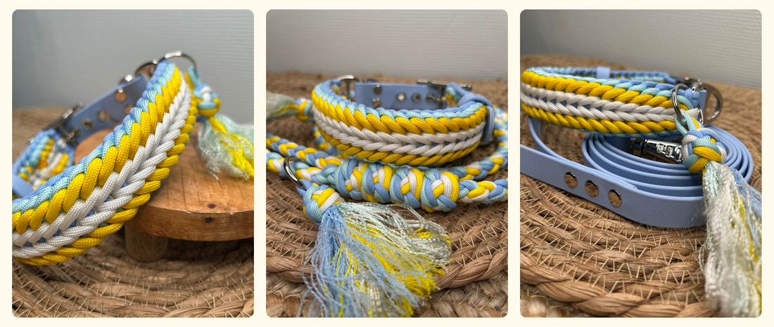 🌼 Compo Marguerite : douceur, couleurs et élégance
