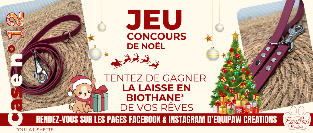 Case n°12 • 12 Décembre 🐾 • Noël est dans 13 jours 🎄