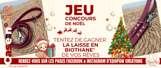 Case n°12 • 12 Décembre 🐾 • Noël est dans 13 jours 🎄