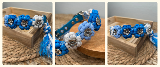 ✨ Fraîcheur estivale ✨