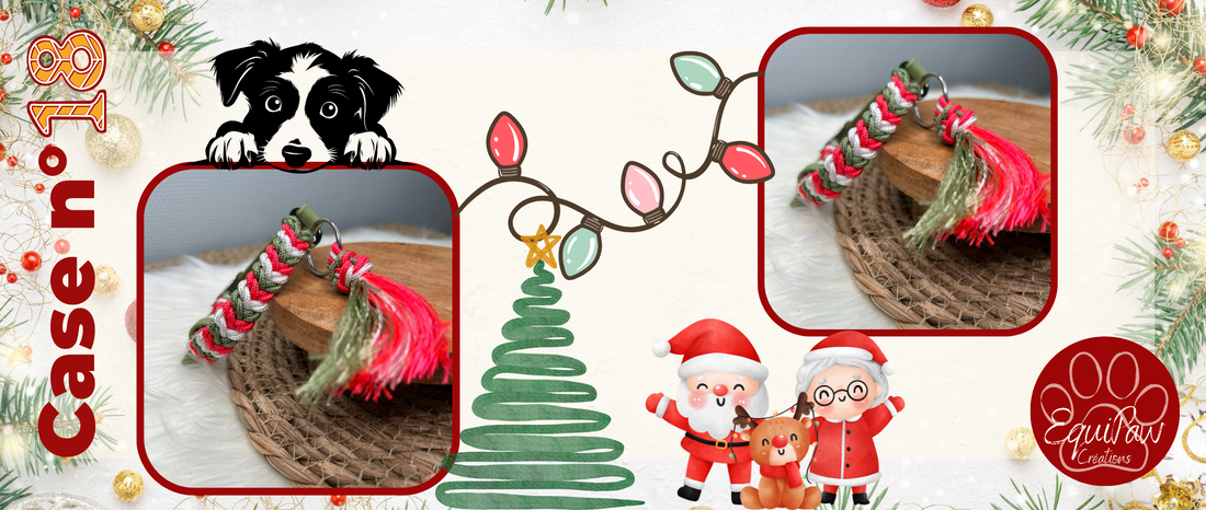 Case n°18 • 18 Décembre 🐾 • Noël est dans 7 jours 🎄