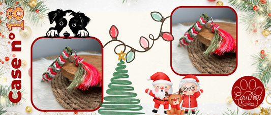 Case n°18 • 18 Décembre 🐾 • Noël est dans 7 jours 🎄