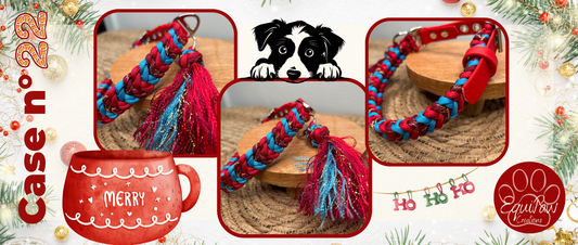 Case n°22 • 22 Décembre 🐾 • Noël est dans 3 jours 🎄