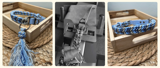 Un collier Marea Mini personnalisé pour un teckel 🐾