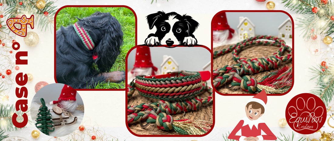 Case n°4 • 4 Décembre 🐾 • Noël est dans 21 jours 🎄