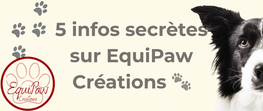 ✨✨ Découvrez les 5 infos secrètes sur EquiPaw Créations 🐾🙈🤫