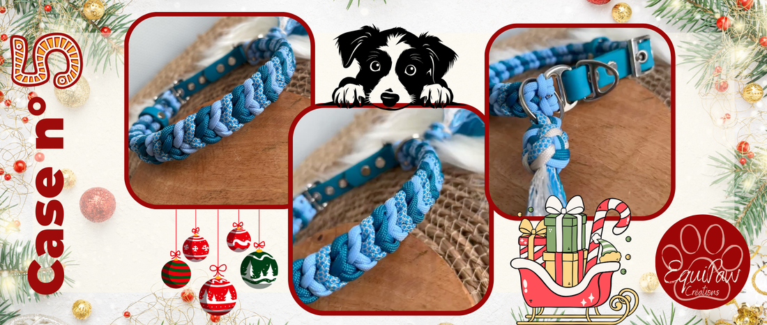 Case n°5 • 5 Décembre 🐾 • Noël est dans 20 jours 🎄