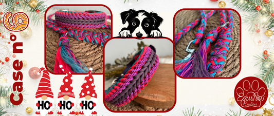 Case n°6 • 6 Décembre 🐾 • Noël est dans 19 jours 🎄