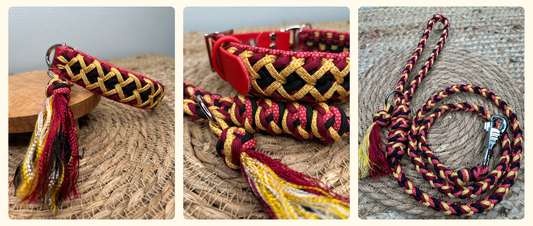 ⚫️🟡🔴 Collier Alyzé & Laisse Tornak aux couleurs de la Belgique