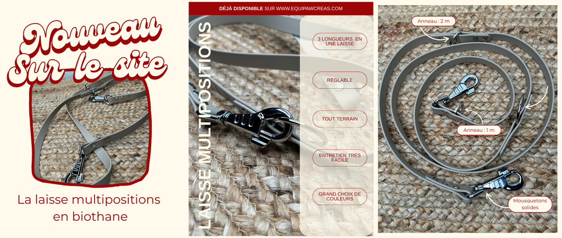 🐾 La laisse multipositions en biothane