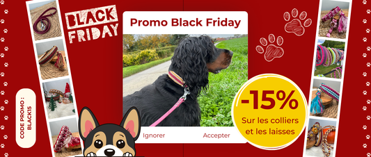 Le Black Friday arrive chez EquiPaw Créations 🛍️🐾