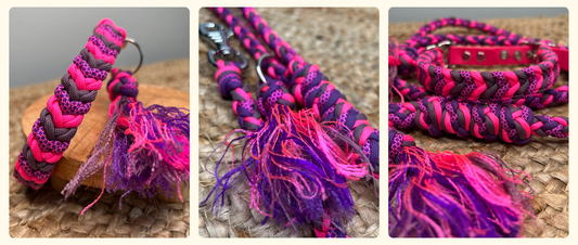 🐾 Ensemble collier Marea et laisse Tornak Rose