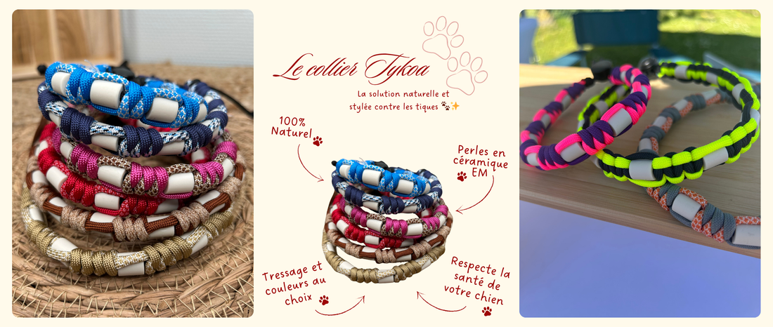 Le collier Tykoa : comment ça fonctionne ? 🐾