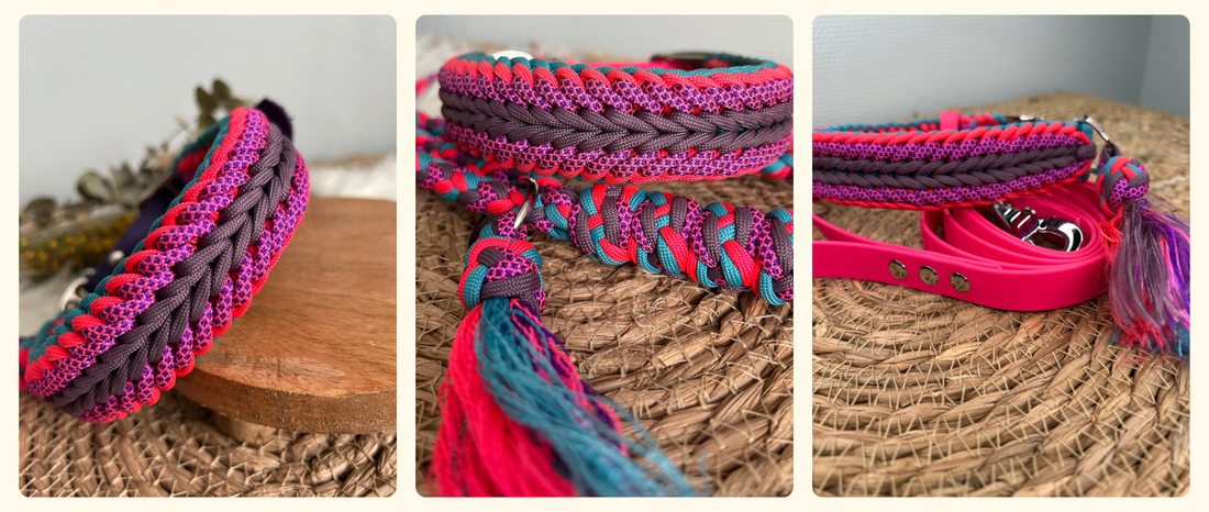 🌼 Elle est de retour