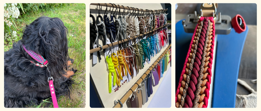 Vous hésitez avant de commander un collier personnalisé ? 🐾