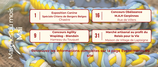 🐾 EquiPaw Créations part à votre rencontre 🤩
