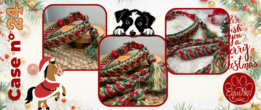 Case n°24 • 24 Décembre 🐾 • Bon Réveillon 🥳🎄