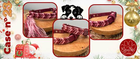 Case n°23 • 23 Décembre 🐾 • Noël est dans 2 jours 🎄