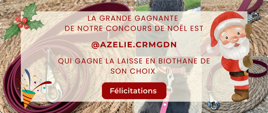 Case n°25 • 25 Décembre 🐾 • Joyeux Noël 🥳🎄