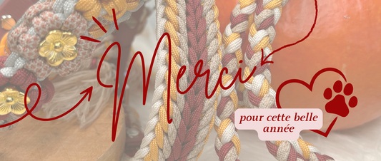 ✨ 𝕄𝕖𝕣𝕔𝕚. 𝕋𝕠𝕦𝕥 𝕤𝕚𝕞𝕡𝕝𝕖𝕞𝕖𝕟𝕥. ✨