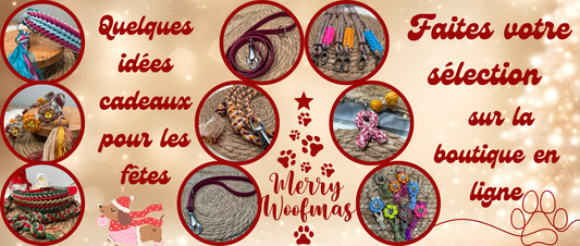 Quelques idées cadeaux à glisser sous le sapin 🎄