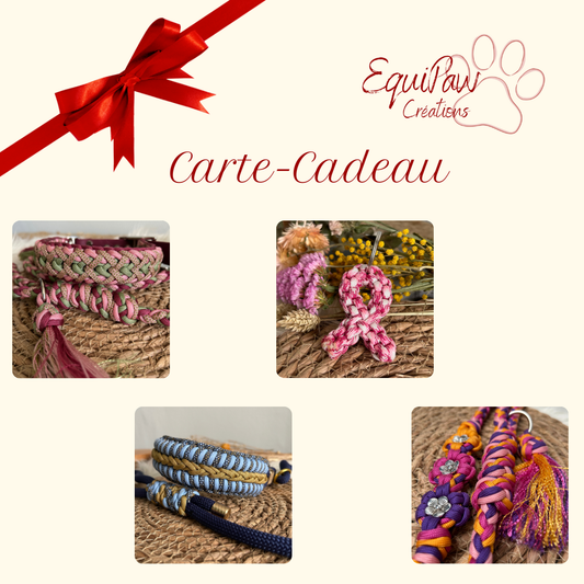 Truffe & Cadeau 🎁🐾