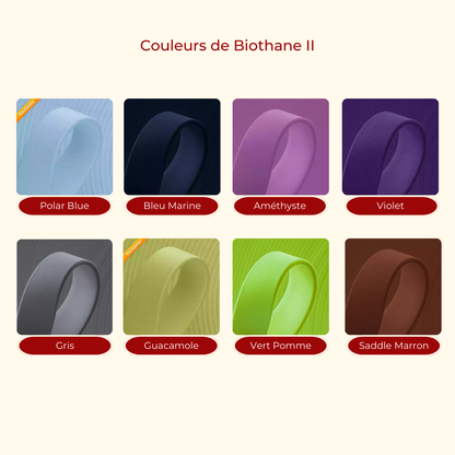 Laisse multipositions 🦮