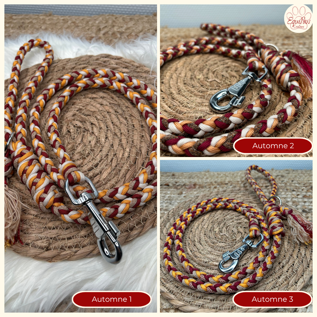 Laisse Tornak 🦮 - Automne 2025 🍁🦊