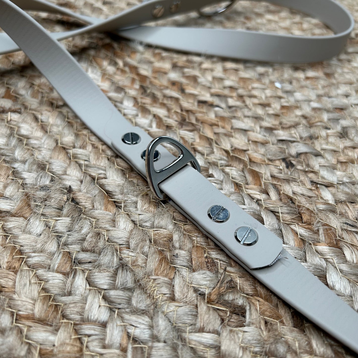 Laisse multipositions 🦮