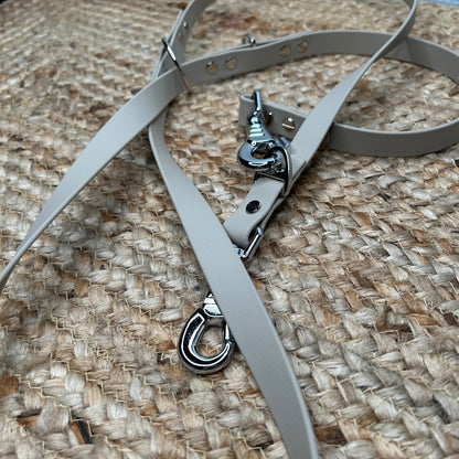 Laisse multipositions 🦮