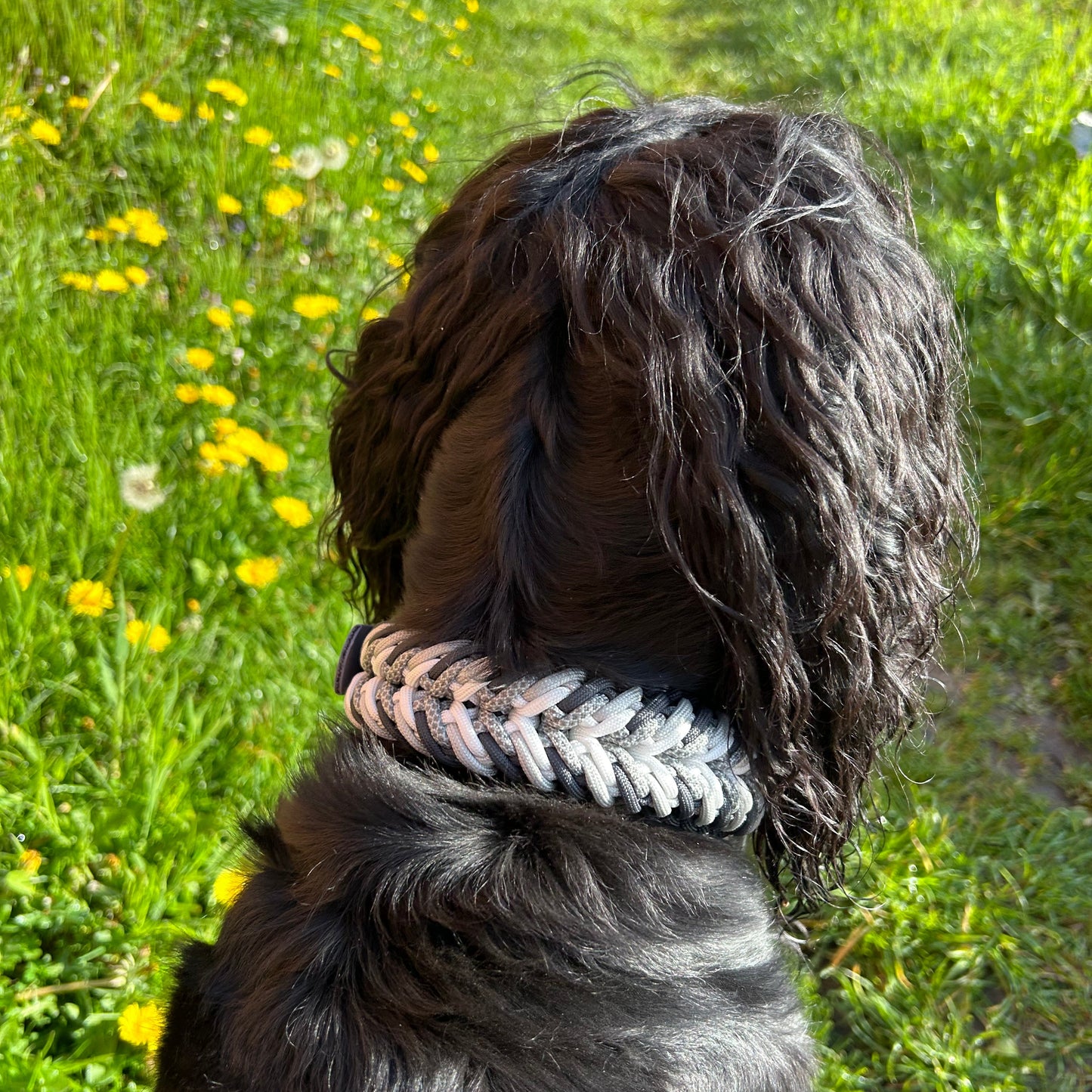 Collier Syrocco Black & White ⚫️⚪️
