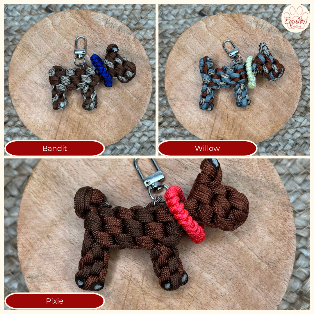 🐶 P'tits chiens [A adopter]