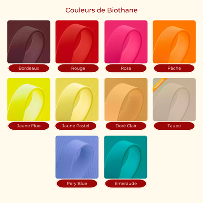 Laisse multipositions 🦮