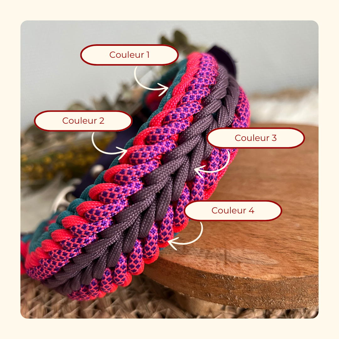 Collier Elytor 🪽 [Personnalisé]