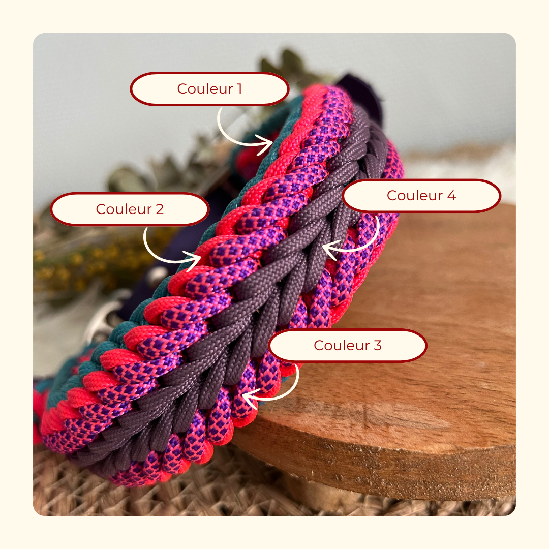 Collier Elytor 🪽 [Personnalisé]