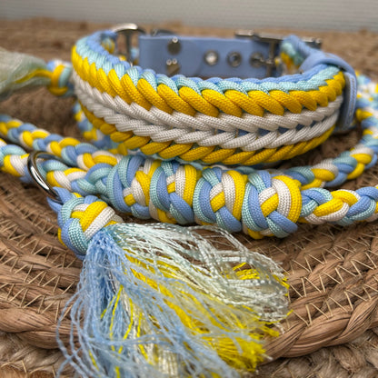 Collier Elytor Marguerite 🪽 - Eté 2026 🌼
