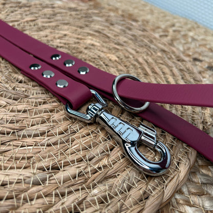 Laisse en biothane 🦮