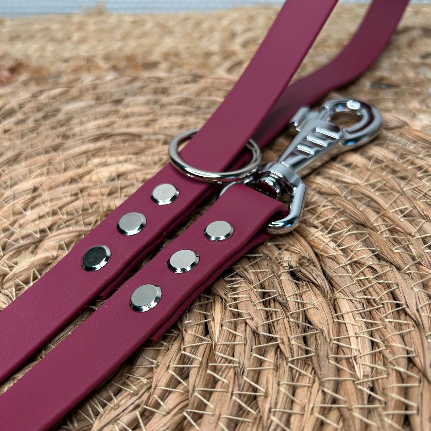 Laisse en biothane 🦮