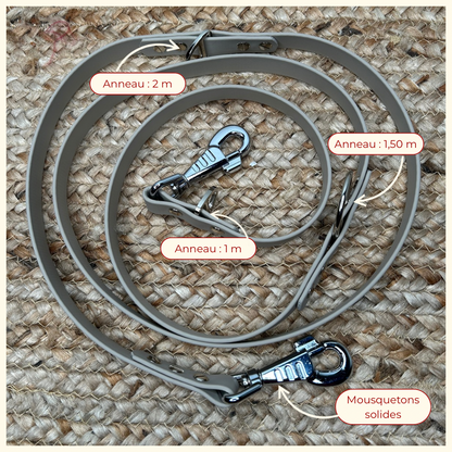 Laisse multipositions 🦮