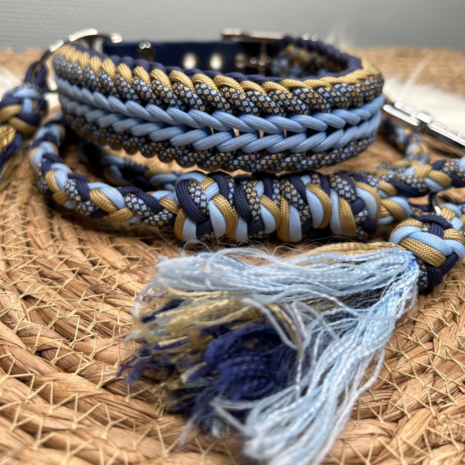 Collier Elytor Bleu & laisse assortie