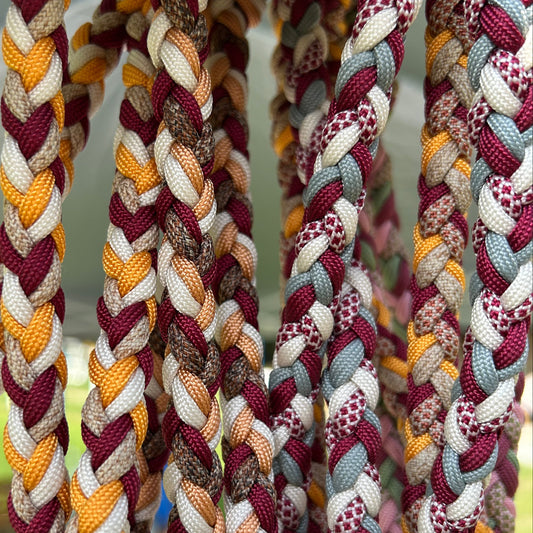 Laisse Tornak 🦮 - Automne 2025 🍁🦊