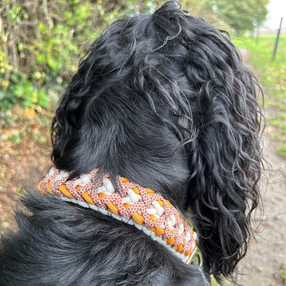 Collier Alyzé 🦋 - Automne 2025 🍁🦊